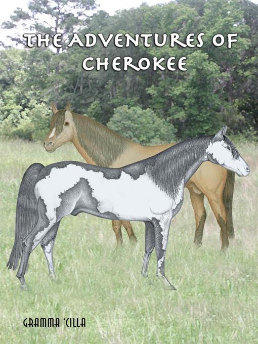 Title details for The Adventures of Cherokee by Nancy Johnson - Available